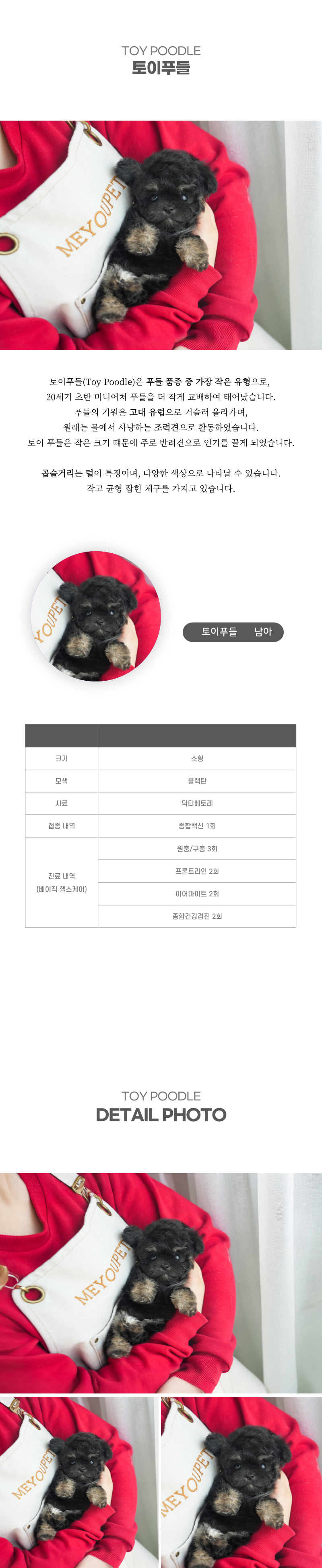 토이푸들_상세이미지_2